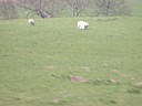 dscn0619.jpg