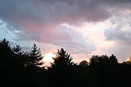 img_1378.jpg